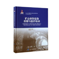 音像矿山创伤应急救援与医疗技术(精)张柳,程光主编