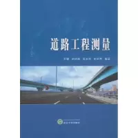 音像道路工程测量王健[等]编著