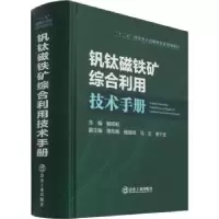 音像钒钛磁铁矿综合利用技术手册杨绍利主编