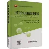 音像可能源制氢Ibrahim Dincer, Haris Ishaq