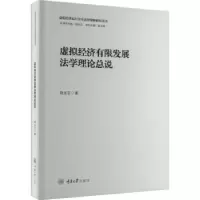 音像虚拟经济有限发展学理总说胡光志著