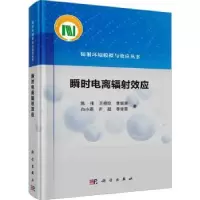 音像瞬时电离辐效应陈伟[等]著