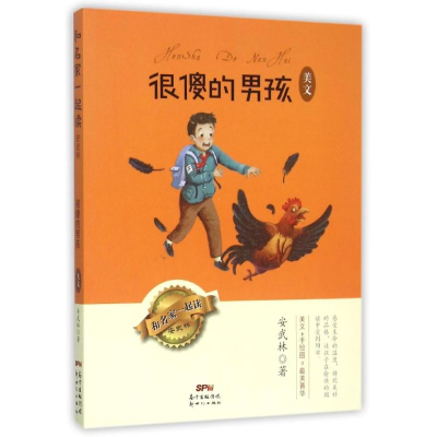 音像很傻的男孩 美文安武林