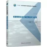 音像城镇降雨径流污染控制技术与应用孙德智,齐飞编著