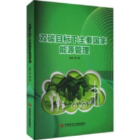音像双碳目标下主要能源管理孟浩等著