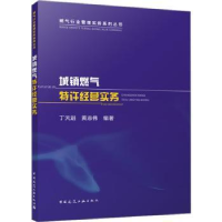 音像城镇燃气特许经营实务丁天进,黄志伟编著