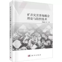 音像矿井灾害多场耦合理论与防控技术周福宝等著