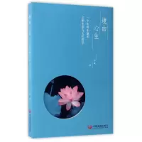 音像境由心生(一个中国小镇的文明生态与文化哲学)车风