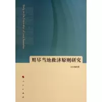 音像用尽当地救济原则研究史红梅著