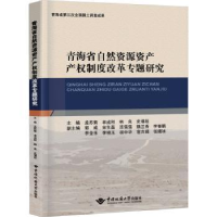 音像青海省自然资源资产产权制度改革专题研究孟苏菊[等]主编
