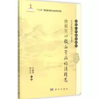 音像唐祖宣四肢血管病论治精选许保华,唐文生 主编