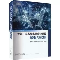 音像省电网企业建设探索与实践国网江苏省电力有限公司组编
