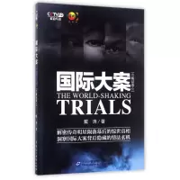 音像国际大案(明星卷文史版)戴涛