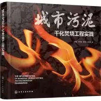 音像城市污泥干化焚烧工程实践乔永旭,张永平,李素华著