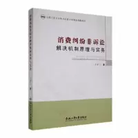 音像消费纠纷非诉讼解决机制原理与实务王梦飞著