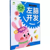 音像左右脑开发 5-6岁左脑开发作者
