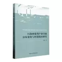 音像污染密集型产业空间分布变化与环境效应研究任梅著