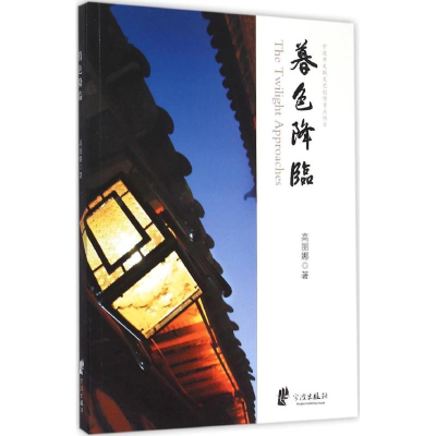 音像暮色降临高丽娜 著
