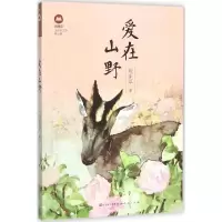 音像爱在山野刘先平 著