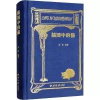 音像插图中的猫吴伟