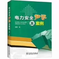 音像电力安全知识及案例顾飚编