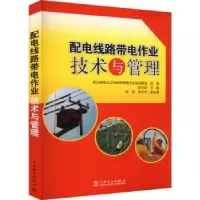音像配电线路带电作业技术与管理史兴华主编
