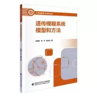 音像遗传模糊系统模型和方法余晓晗,张可,宋金玉著