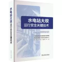 音像水电站大坝运行安全关键技术黄维,彭之辰,杨彦龙等著
