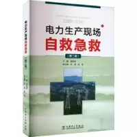 音像电力生产现场自救急救田迎祥主编