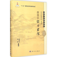 音像唐祖宣经方发挥桂明忠,唐丽 主编