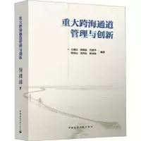 音像重大跨海通道管理与创新王康臣等编著