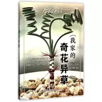音像我家的奇花异草编者:兑宝峰