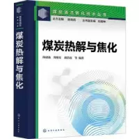 音像煤炭热解与焦化尚建选、郑明东、胡浩权 等 编著