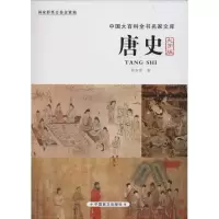 音像唐史胡如雷 著