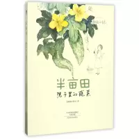 音像半亩田(院子里的蔬菜)/美绘时光皮痞祖工作室