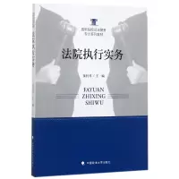 音像法院执行实务(高职院校司法警务专业系列教材)编者:童付章