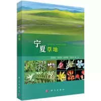 音像宁夏草地郭思加等著