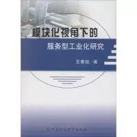 音像模块化视角下的服务型工业化研究王雅俊 著