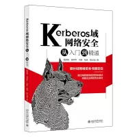 音像Kerberos域网络安全从入门到精通杨湘和 ,等