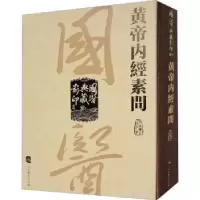音像黄帝内经素问人民卫生出版社