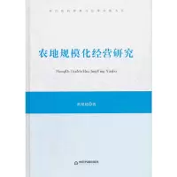 音像现代管理与法律实践书系—农地规模化经营研究黄延廷 著