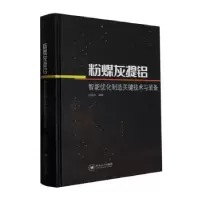 音像粉煤灰提铝智能优化制造关键技术与装备杜善周编著