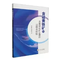 音像含磁黄铁矿的金属硫化矿尘过程与控制田长顺,饶运章著