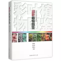 音像彩叶植物图鉴袁东升,李月松,周洪义 编