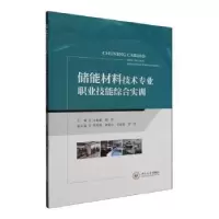 音像储能材料技术专业职业技能综合实训江名喜,席莉主编