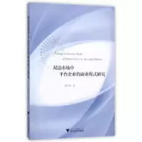 音像双边市场中平台企业的商业模式研究陈应龙