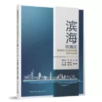 音像滨海吹填区素混凝土桩复合地基理论与实践黄如华,李栋主编
