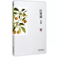 音像汪曾祺小说/名家小说典藏汪曾祺