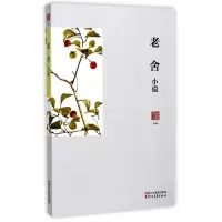 音像老舍小说/名家小说典藏老舍