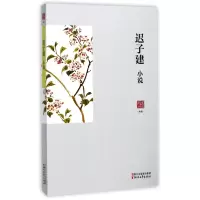音像迟子建小说/名家小说典藏迟子建